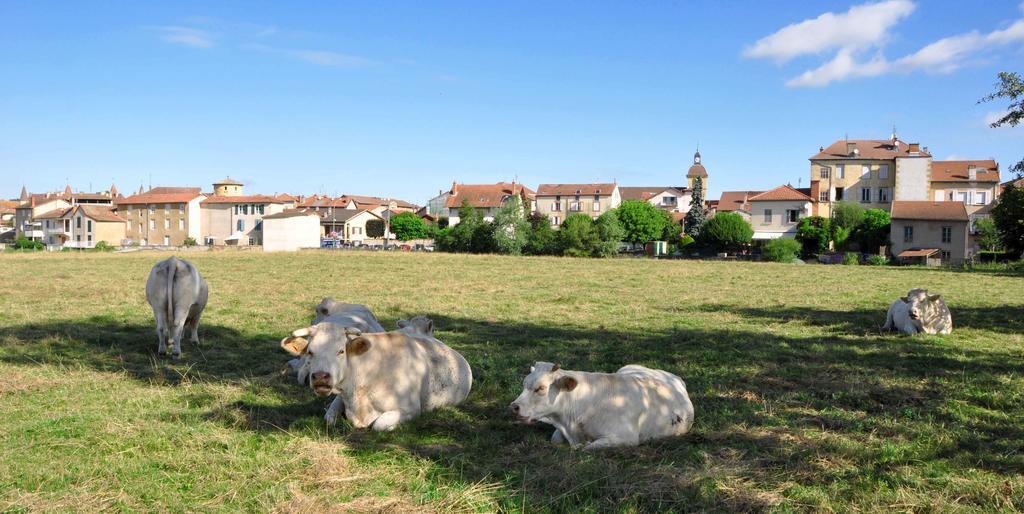 מלון Charlieu Relais De L'Abbaye מראה חיצוני תמונה